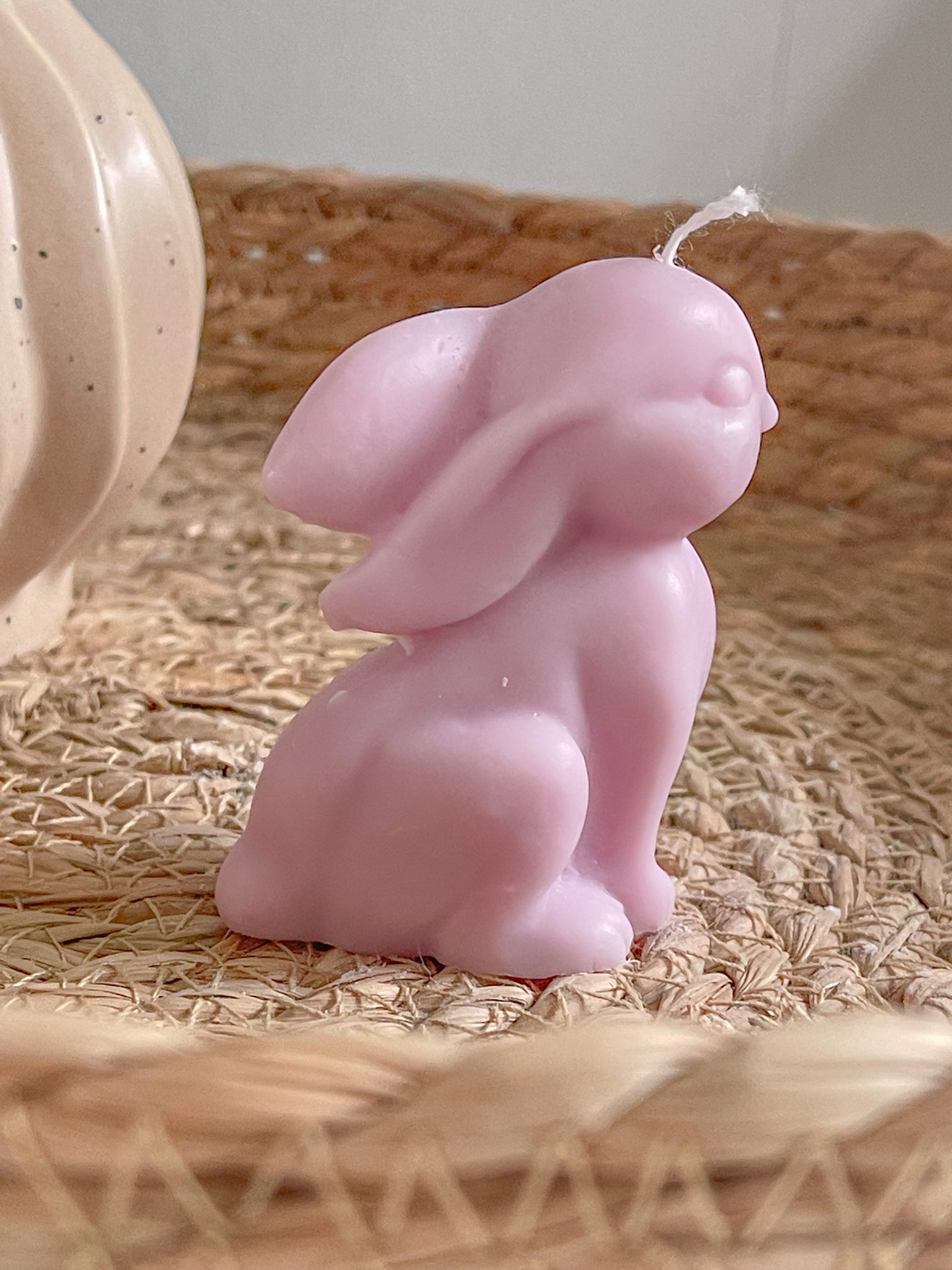 Small Rabbit