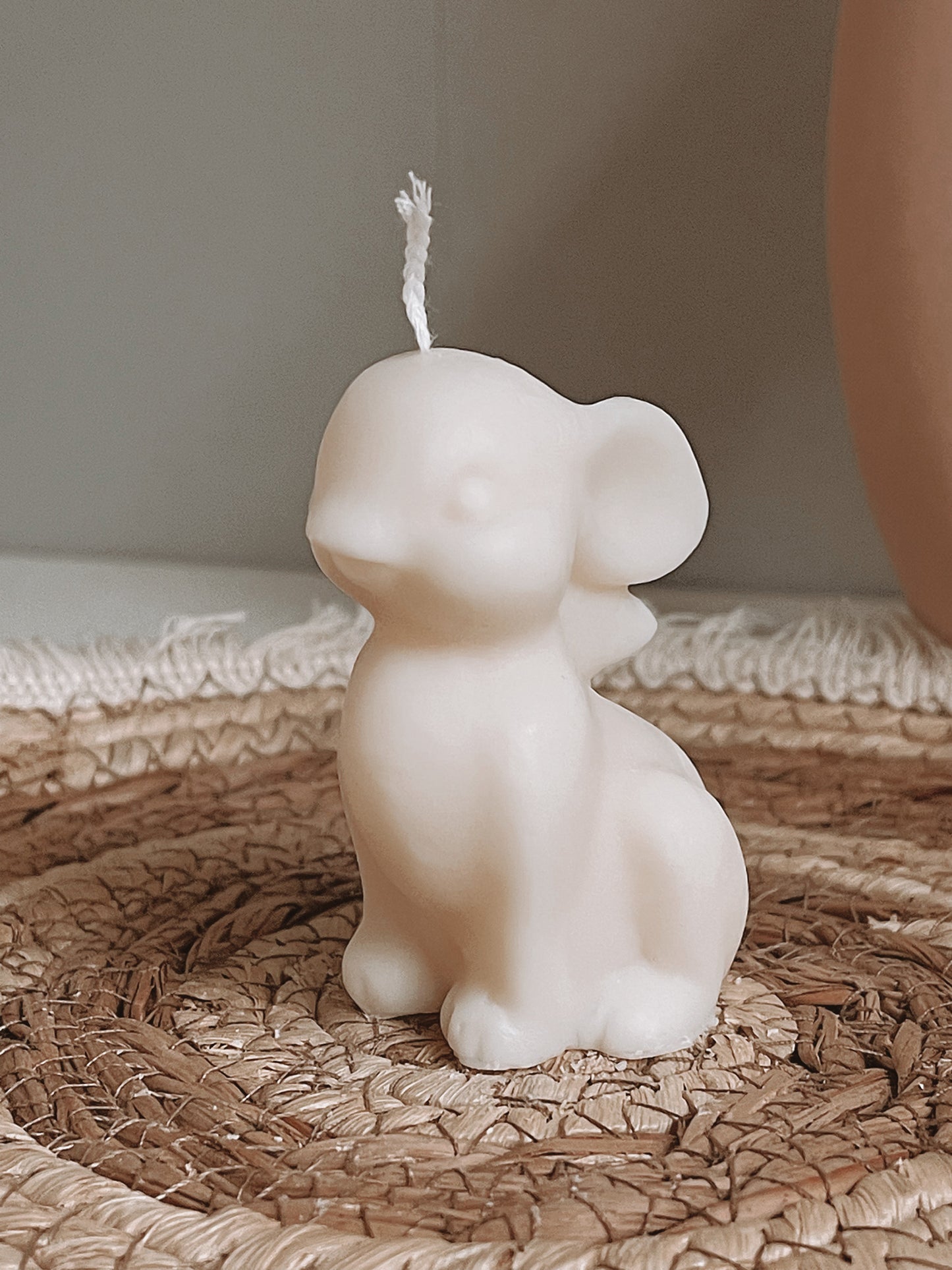 Small Rabbit