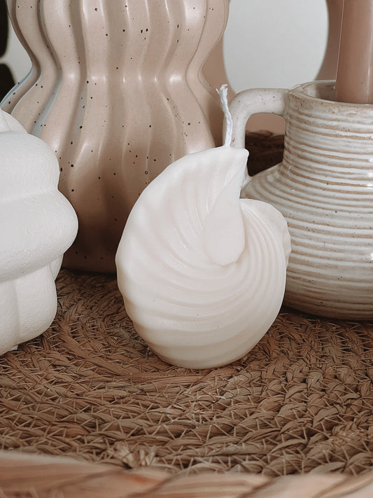 Curved Seashell
