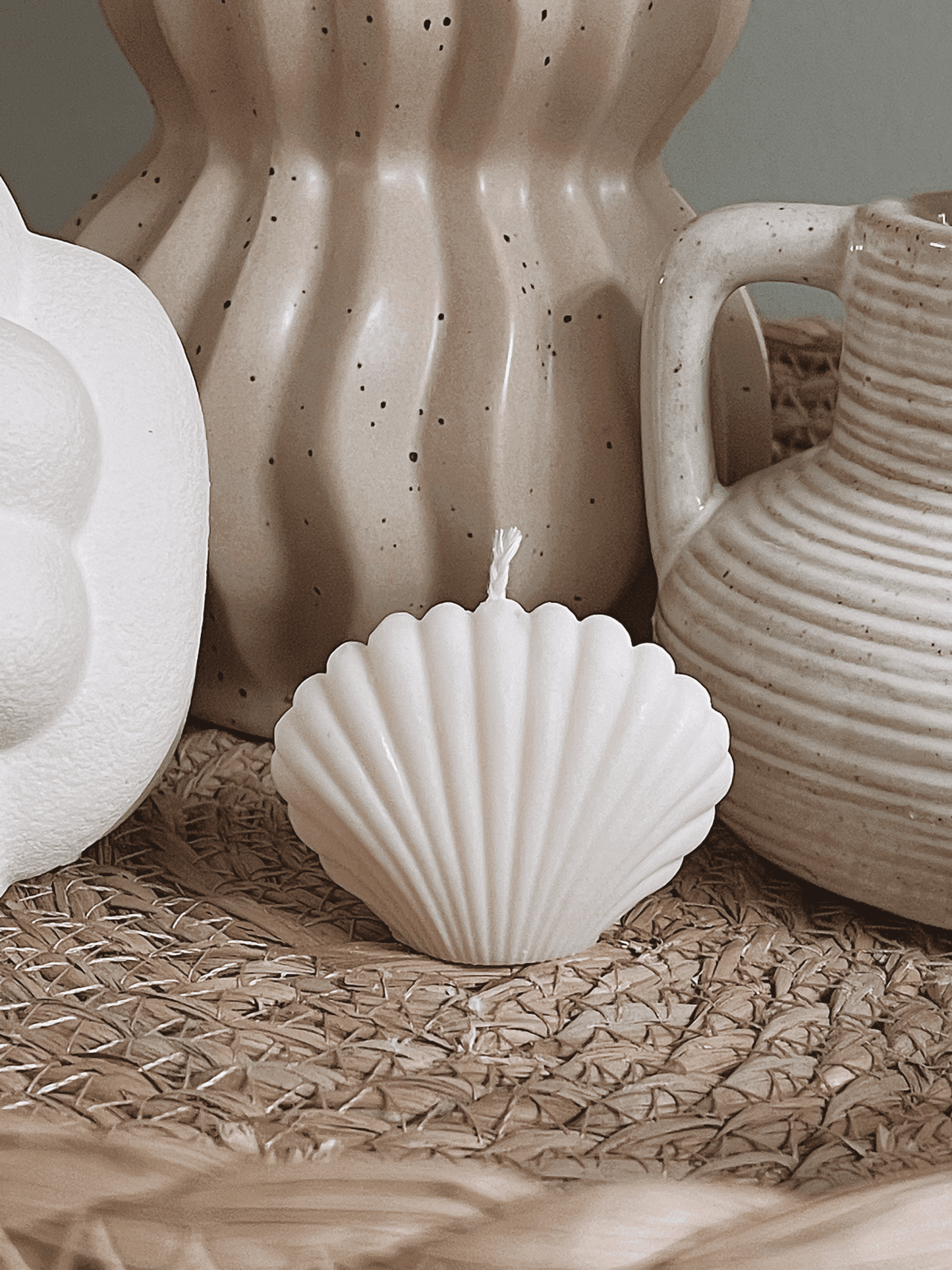 Seashell